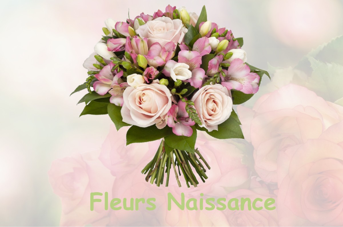 fleurs naissance SAINT-LEONARD-DES-PARCS